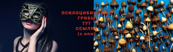 гидропоника Гатчина