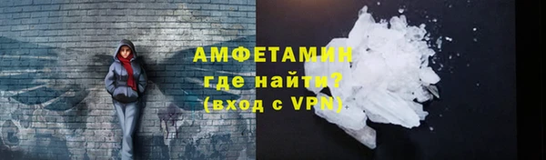 шишки Гвардейск