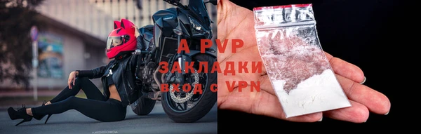 крисы Осинники