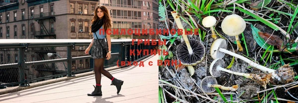 крисы Осинники