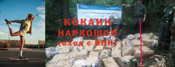 крисы Осинники