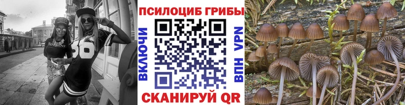 Галлюциногенные грибы ЛСД  Электросталь 